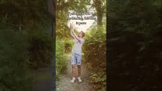 I wrote a song