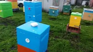 Нумерация ульев на пасеке.