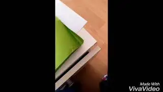 Kaktüs
