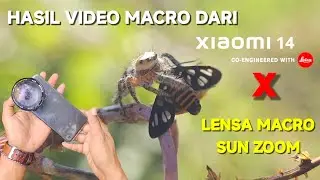 Ini Hasil Dari XIAOMI 14 dan Lensa Macro Sun Zoom