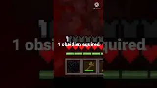 Minecraft,but i have to escape the neither