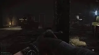 Escape From Tarkov. MosinLife (highlights)