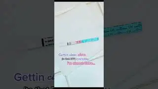 Ovulation Testing to Get Pregnant Faster - Premom Ovulation Calculator - Ovulation Day