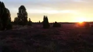 Sonnenaufgang Lüneburger Heide