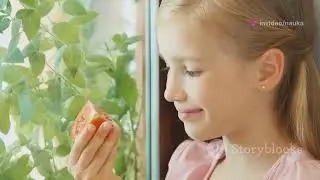 Почему еда в космосе невкусная? Исследование аромата пищи