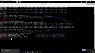 How to fix unable to Locate Package Update in Kali Linux