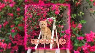 Самый Дорогой Человек [ speed up ] ~ Нервы #музыка #music