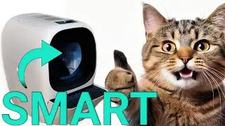 Das smarte Katzenklo, das sich selbst reinigt und auffüllt | Lalahome Real Scooper im Test