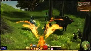 Guild Wars 2 Beta. Dynamic events gameplay.