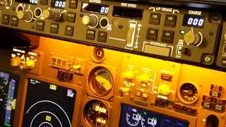 Live Stream Boeing 738