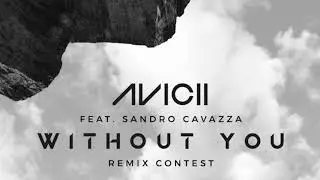 Avicii - Without You (Amute Remix)