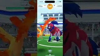 Pokémon Go - Level 5 Raid - Zamazenta