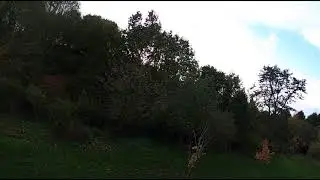 FPV Autumn Tales