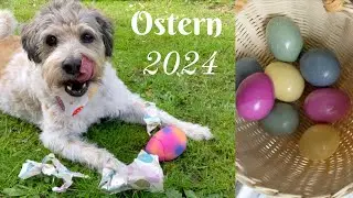 Ostern mit Hunden // Ostereiersuche 2024
