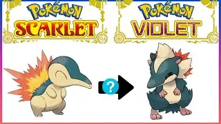 What If the GEN 2 Starters Got REDESIGNS for Scarlet/Violet?