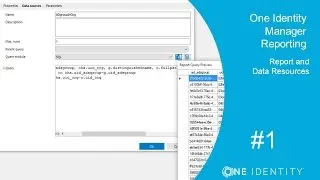 One Identity Manager | Reporting #1 | Simple Report - Data Resources
