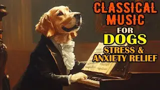 Waltz of the Flowers for Dogs - Classical Music for Dogs