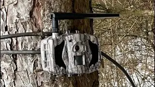Boly mg984G - 36mpx fotopasca