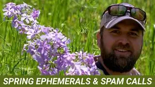 Our Best Spring Ephemerals Spot!