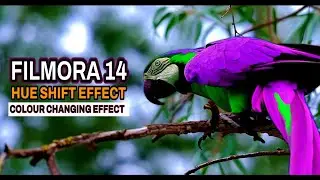 FILMORA 14 | HUE SHIFT EFFECT COLOUR CHANGING EFFECT