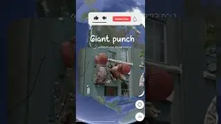 i found giant punch on Google map and google earth #earth #googleearth #map #viral