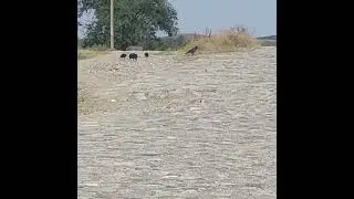 21 августа 2024 г.