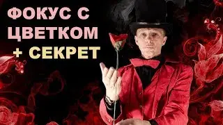 Focus with flower + SECRET! | The emergence of roses from the fire | Tricks and their secrets