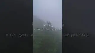 Сура Аз-Залзала, Чтец:Мишари Рашид, красивое чтение