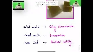 Microbiology class -part 5 by Dr.krishna Sahith