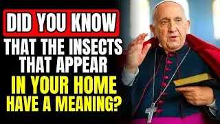 POPE FRANCIS REVEALED: The INSECTS that appear in your home have a MEANING 🐞🦋🕷️