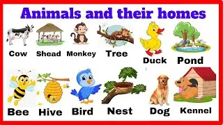 Animals and their Homes | Animals home | Home of animals in English| Animals shelter