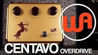 Warm Audio Centavo Overdrive