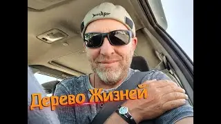 Дерево Жизней