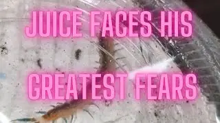 Juice Unboxes his Greatest Fear