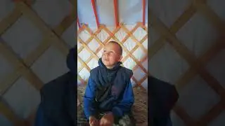 Отзыв 5