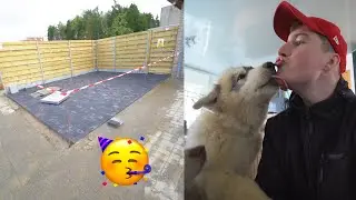 DE PUPPIES WORDEN GROOT + DE OPRIT IS AF!