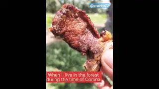 listen to youcarefully 
