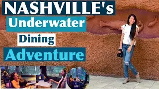 Nashville, Tennessee: Aquarium Underwater Dining Adventure