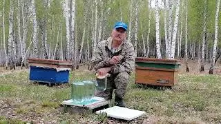Поилка для пчёл.