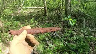 Коп по войне Серия 232 Загадочные вилки