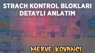 Scratch Kontrol Blokları  (DERS -7)