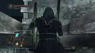 8 DS 2 Башня Луны и горгульи