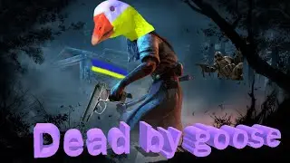В поисках жизни (Смешные Моменты, ПРИКОЛЫ)🐧