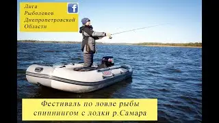 Фестиваль 