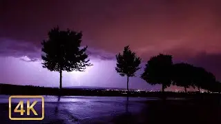 Thunderstorm Sounds 4K, Deep Sleep after 5 minutes  I Relaxing Sounds #rain#thunder#storm#relax