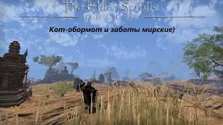 The Elder Scrolls Online. #31 - Кот-обормот и какой-то фарм)