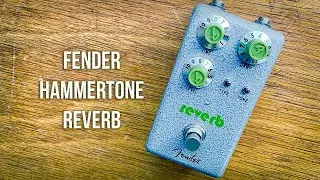 Fender: Hammertone REVERB (Does ambient too!)