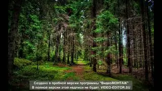 ЛЕС