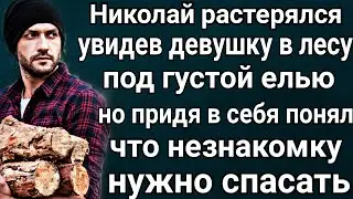 Лесная находка.