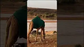 إياك ان تظن الله سينساك